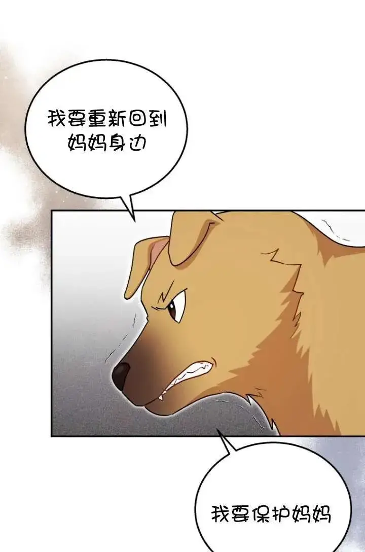 《兽医先生！你好？》第19话图17