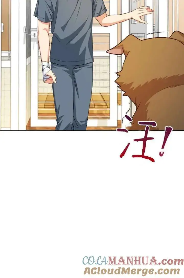 《兽医先生！你好？》第19话图4