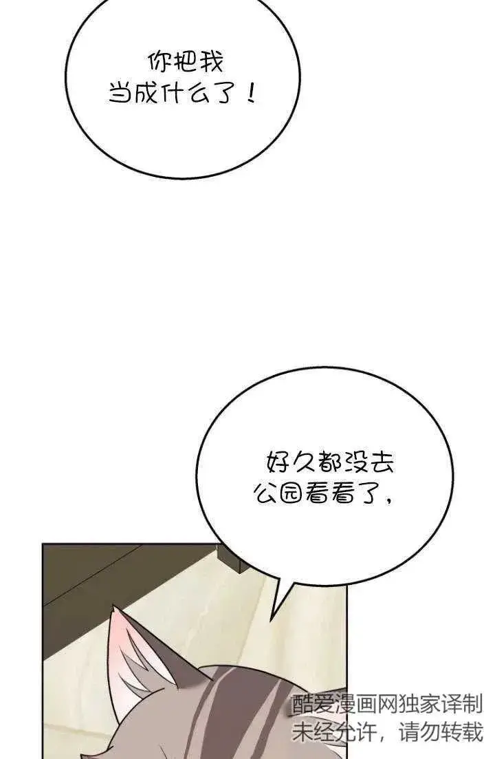 《兽医先生！你好？》第21话图22