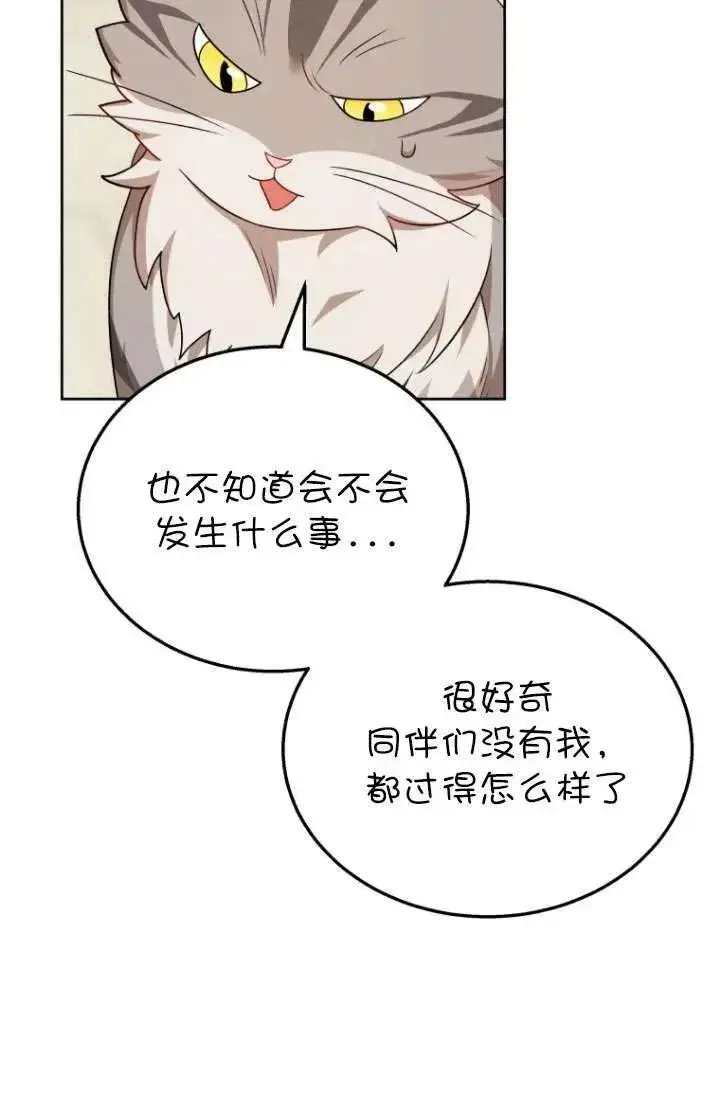 《兽医先生！你好？》第21话图23