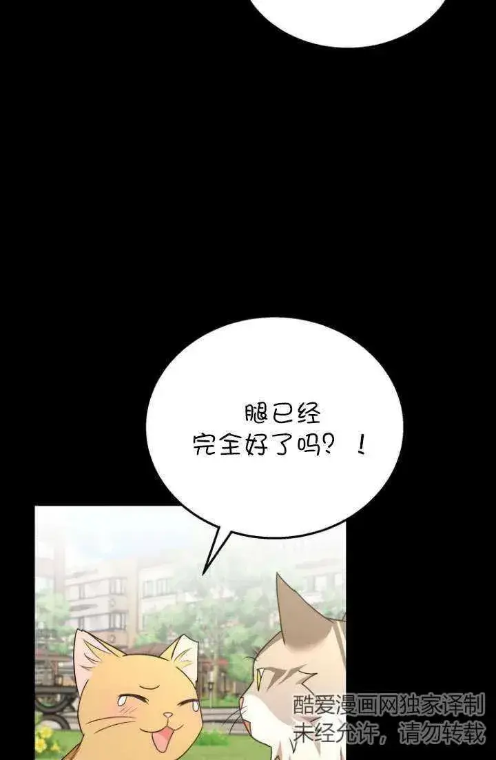 《兽医先生！你好？》第21话图34