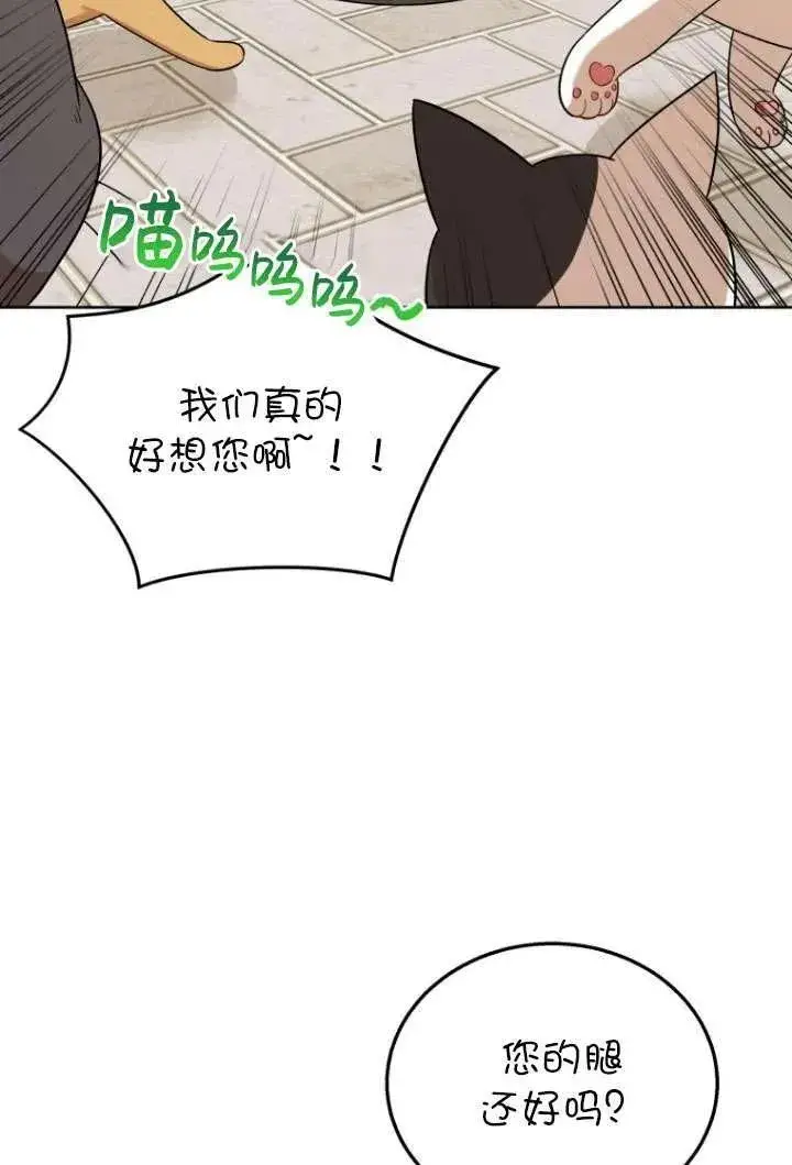 《兽医先生！你好？》第21话图55