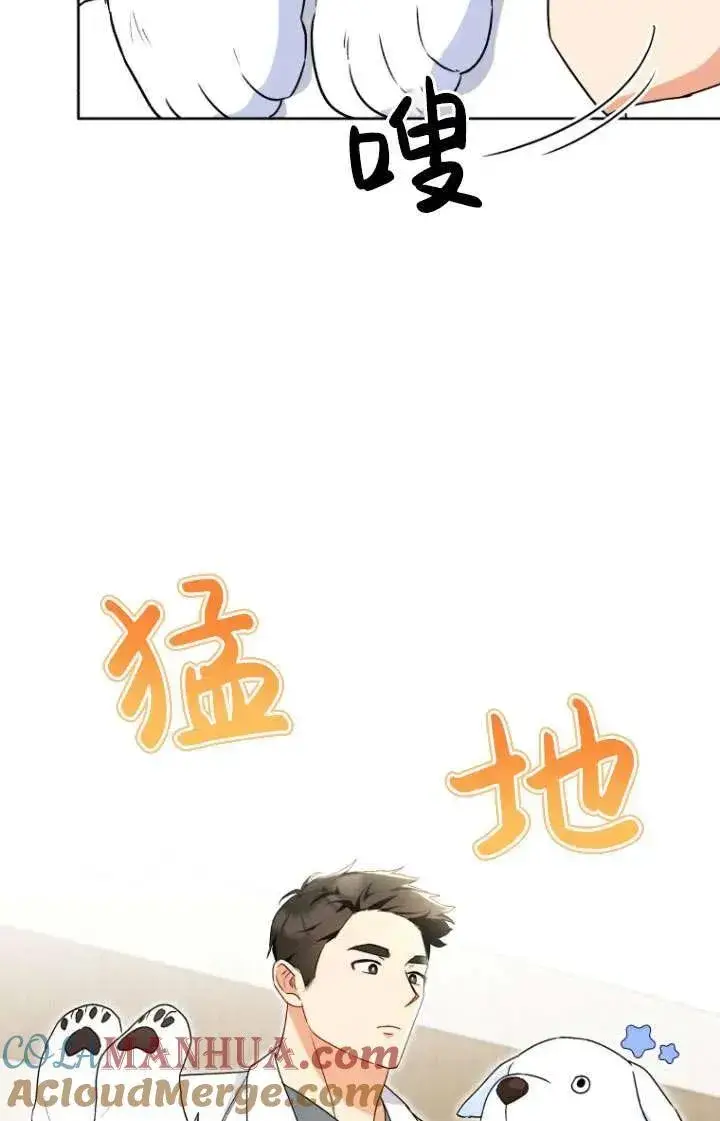 《兽医先生！你好？》第24话图21