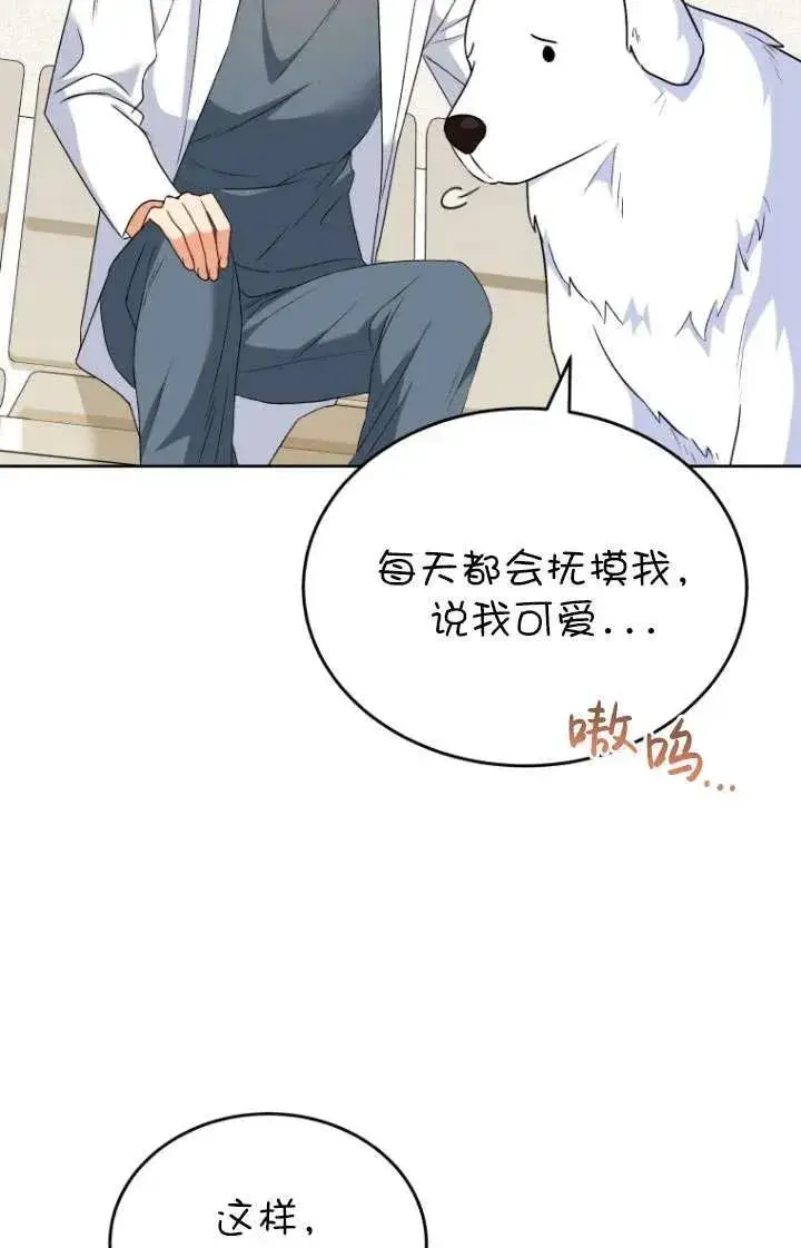 《兽医先生！你好？》第24话图6