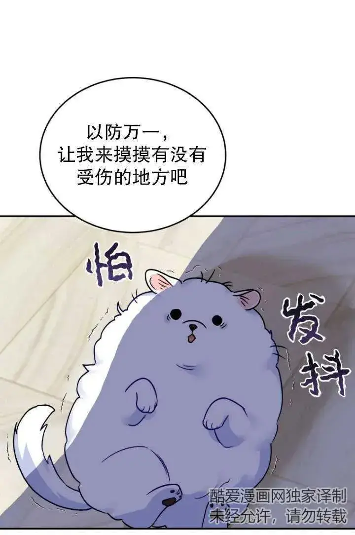 《兽医先生！你好？》第24话图95