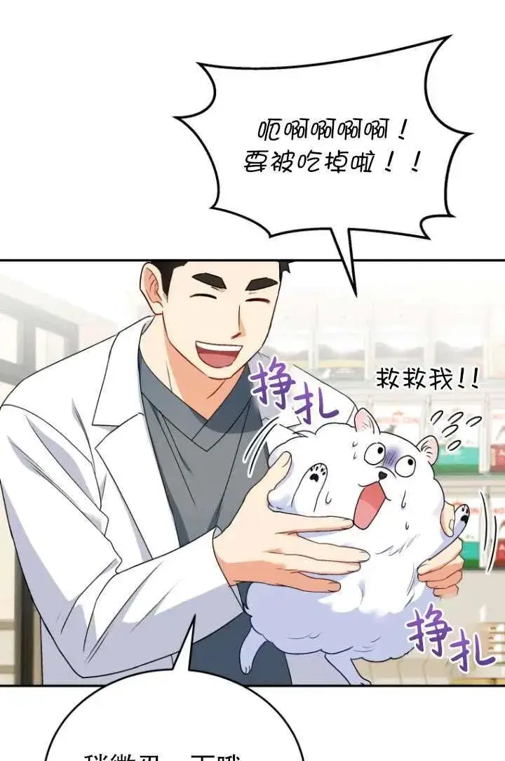 《兽医先生！你好？》第24话图98
