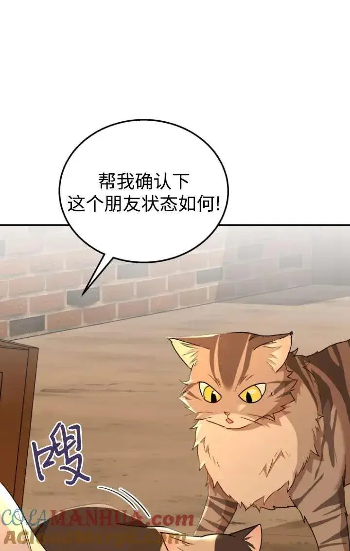 《兽医先生！你好？》第26话图37