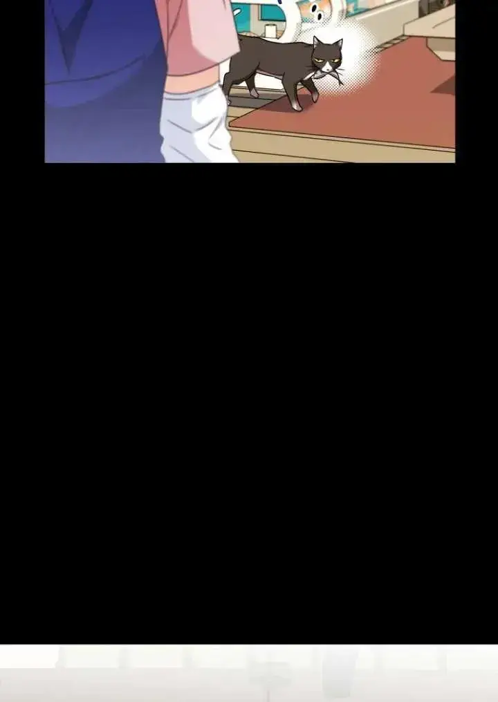 《兽医先生！你好？》第27话图15