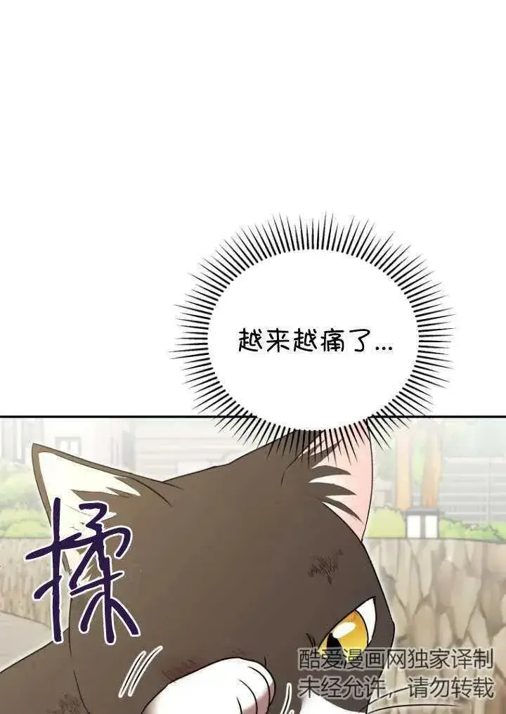 《兽医先生！你好？》第27话图26
