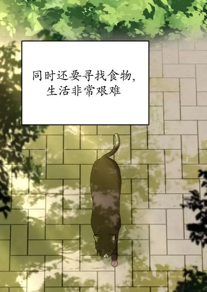 《兽医先生！你好？》第27话图3
