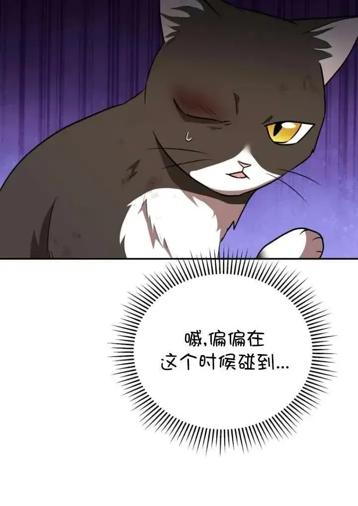 《兽医先生！你好？》第27话图34