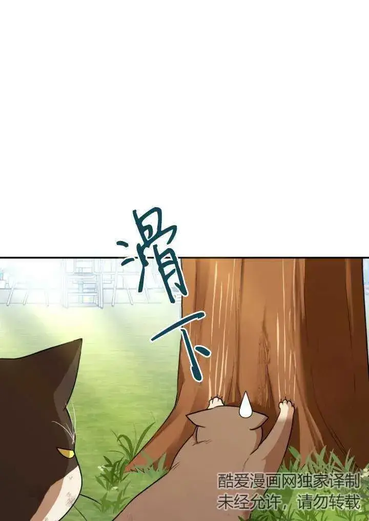 《兽医先生！你好？》第27话图43