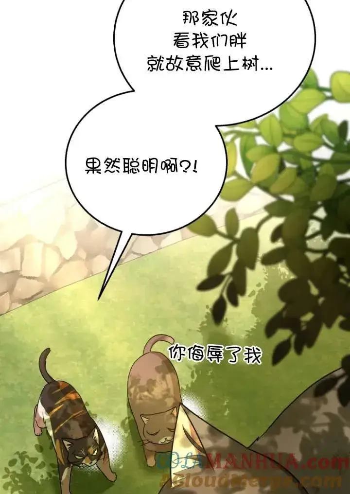 《兽医先生！你好？》第27话图45