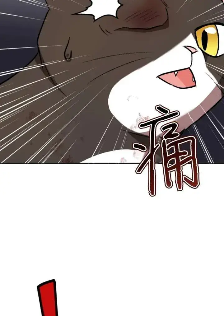 《兽医先生！你好？》第27话图50