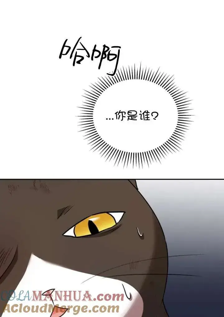 《兽医先生！你好？》第27话图73