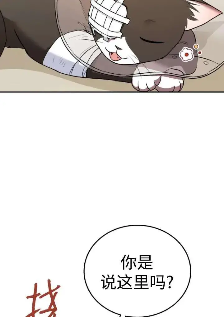 《兽医先生！你好？》第27话图88