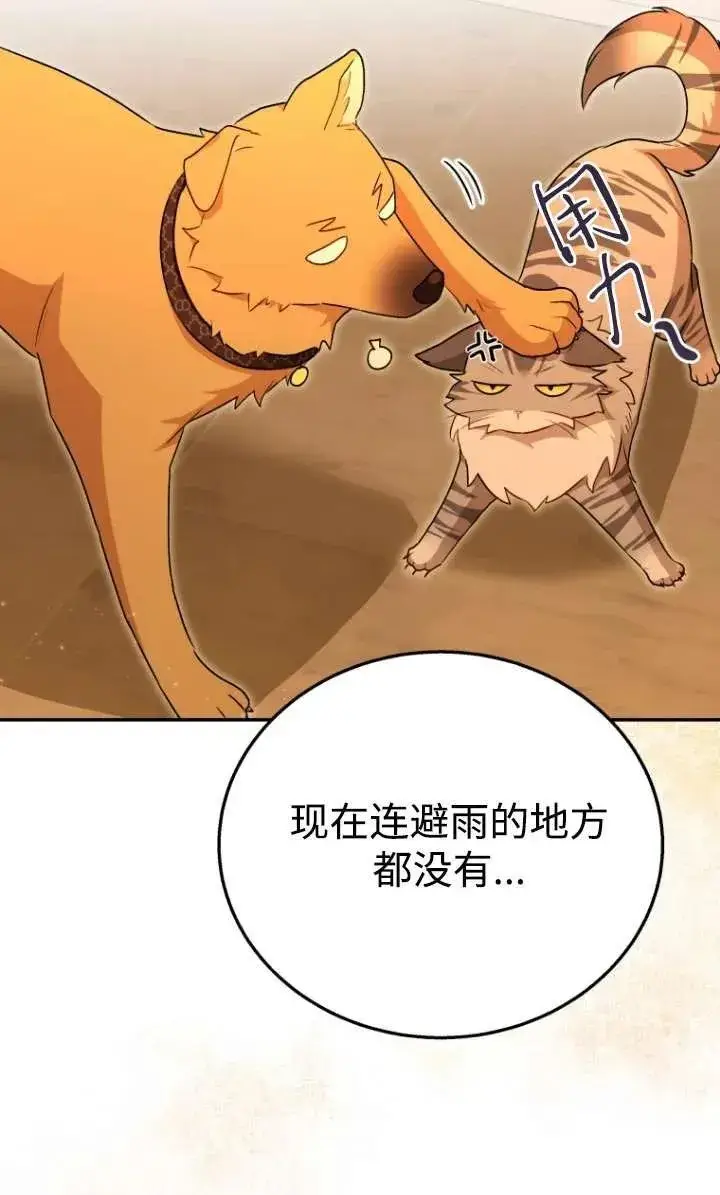 《兽医先生！你好？》第29话图72