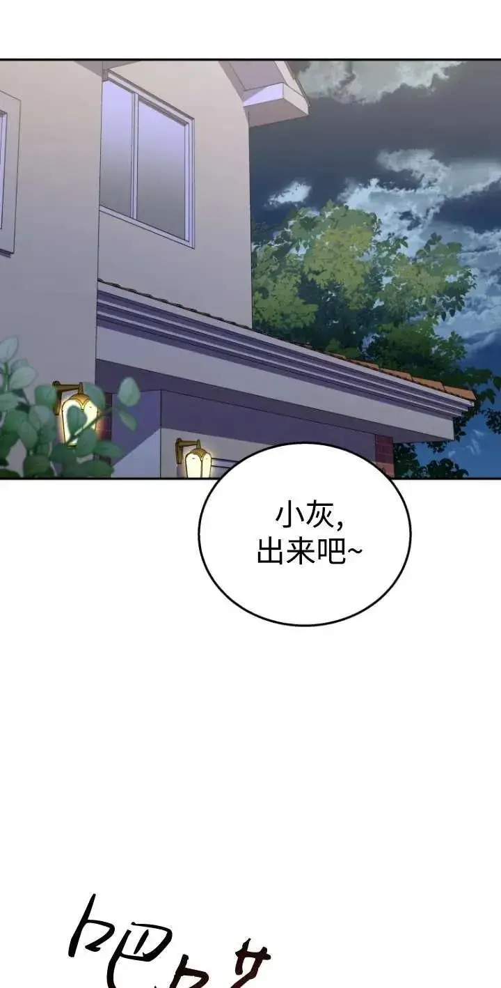 《兽医先生！你好？》第30话图19