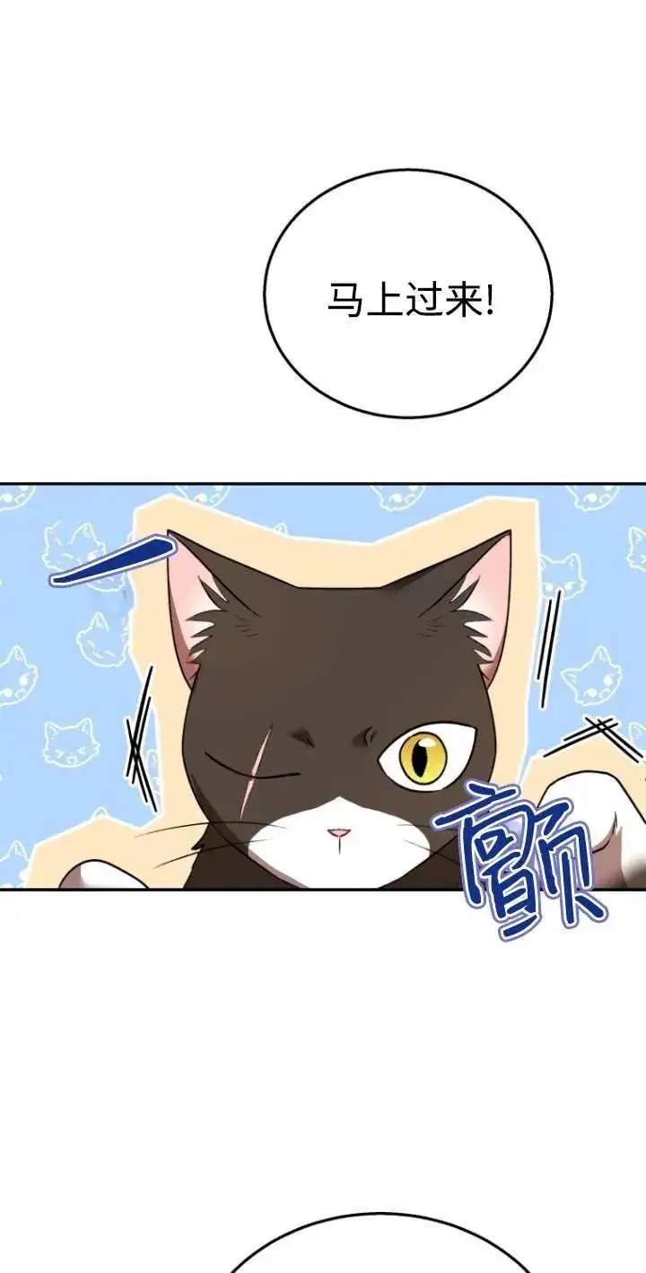 《兽医先生！你好？》第30话图26