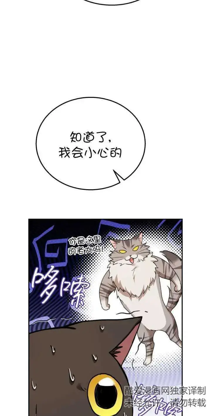 《兽医先生！你好？》第30话图28