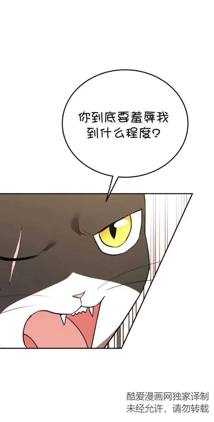 《兽医先生！你好？》第30话图46