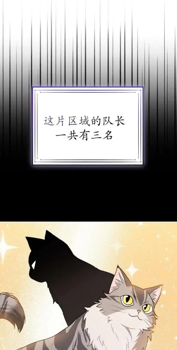 《兽医先生！你好？》第30话图58