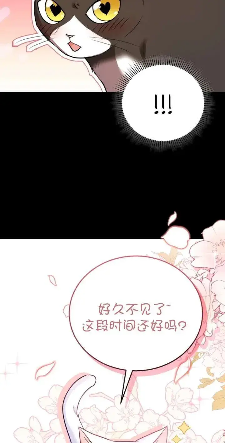 《兽医先生！你好？》第30话图62