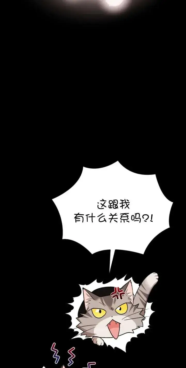 《兽医先生！你好？》第30话图64