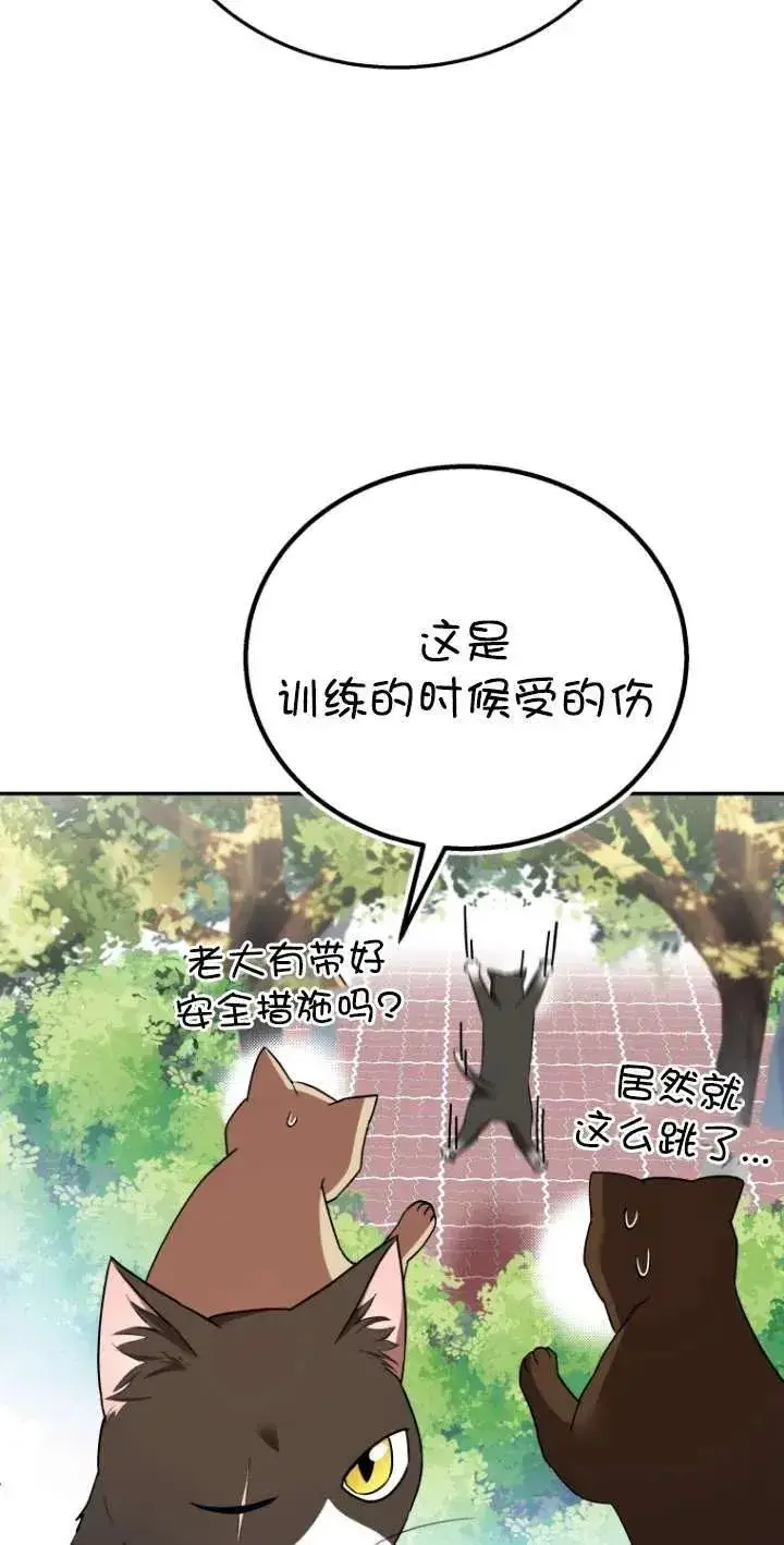 《兽医先生！你好？》第30话图79