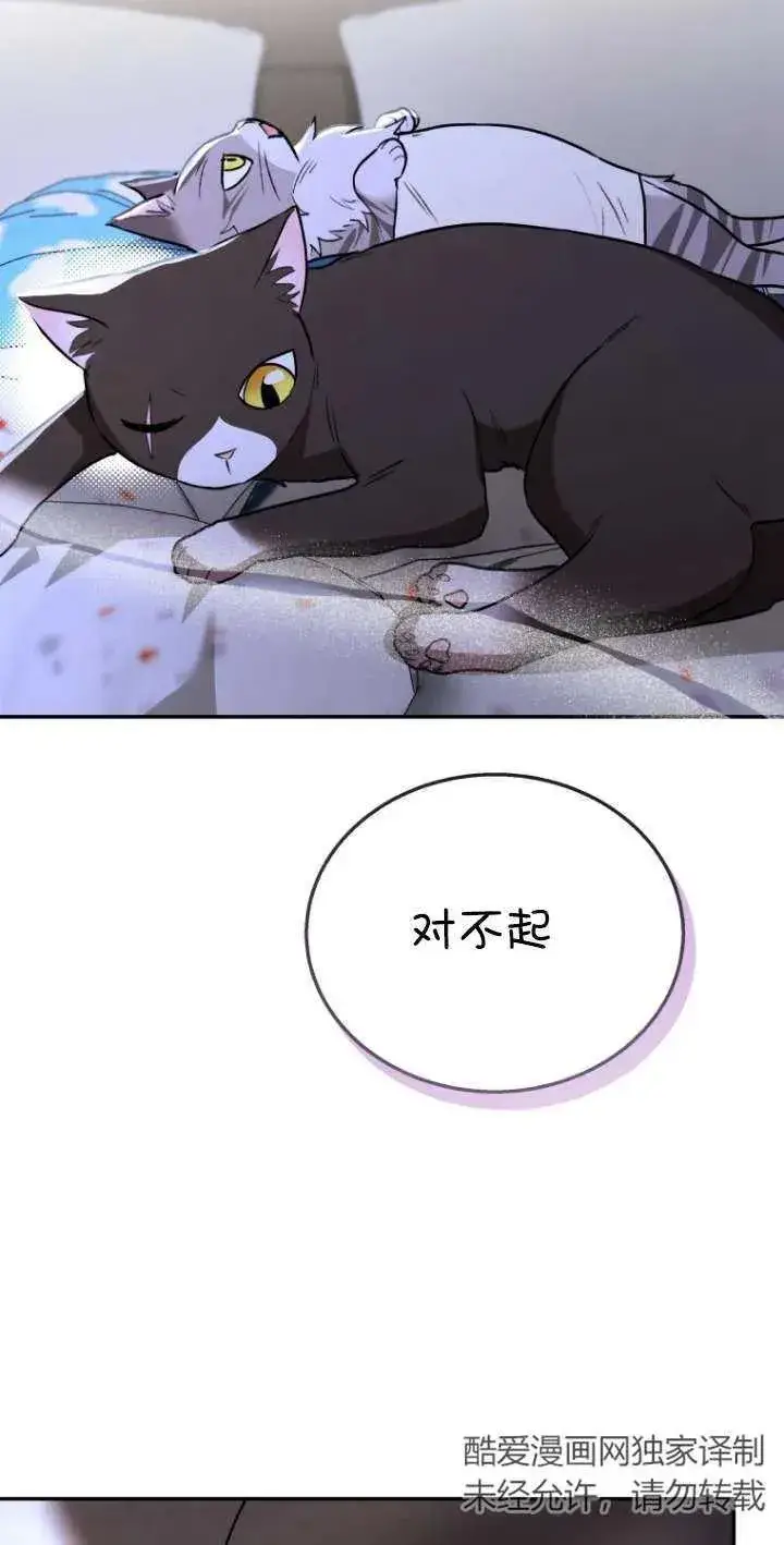 《兽医先生！你好？》第30话图94