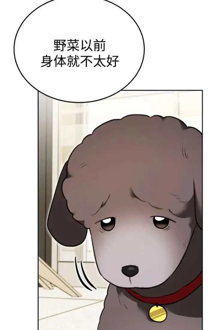 《兽医先生！你好？》第34话图12