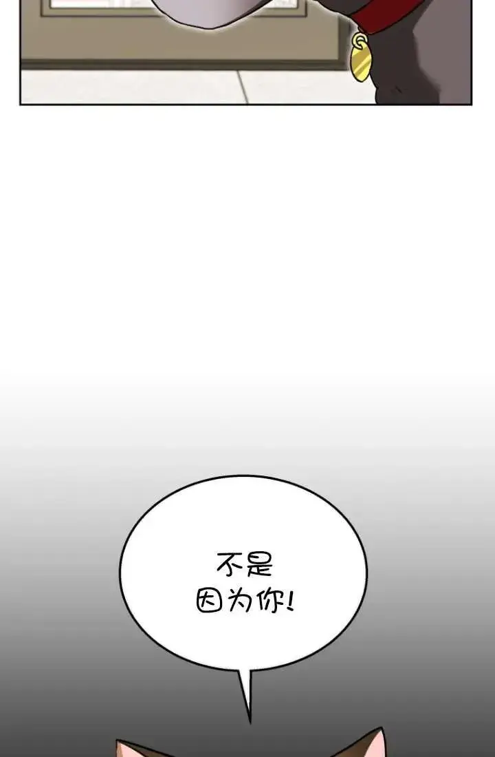 《兽医先生！你好？》第34话图16