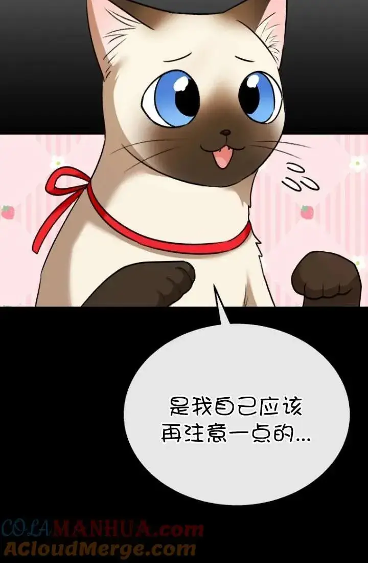 《兽医先生！你好？》第34话图17