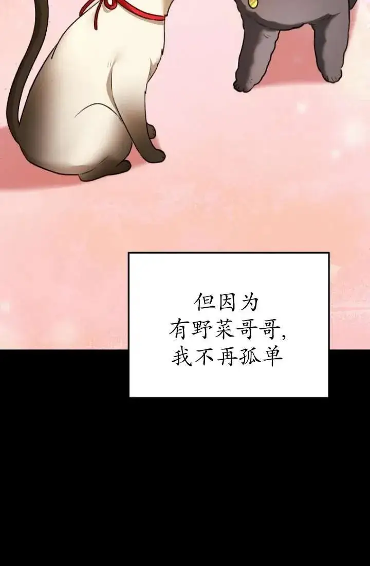 《兽医先生！你好？》第34话图22