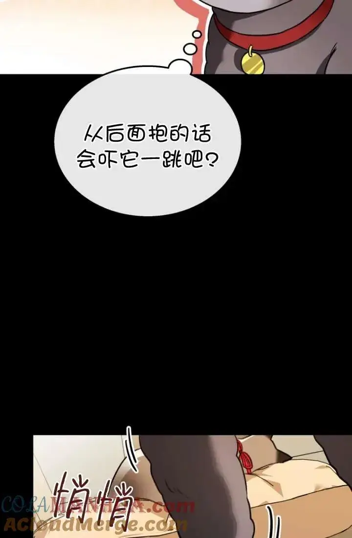 《兽医先生！你好？》第34话图25