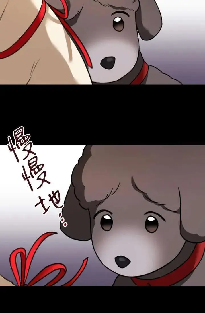 《兽医先生！你好？》第34话图31