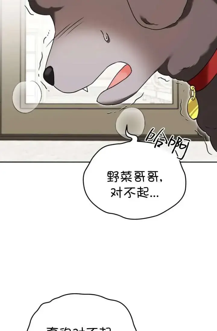 《兽医先生！你好？》第34话图40