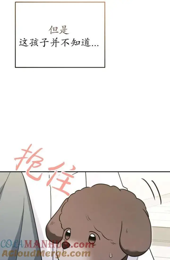 《兽医先生！你好？》第34话图45