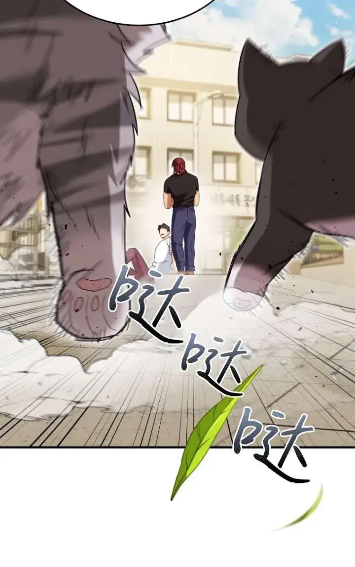 《兽医先生！你好？》第45话图50