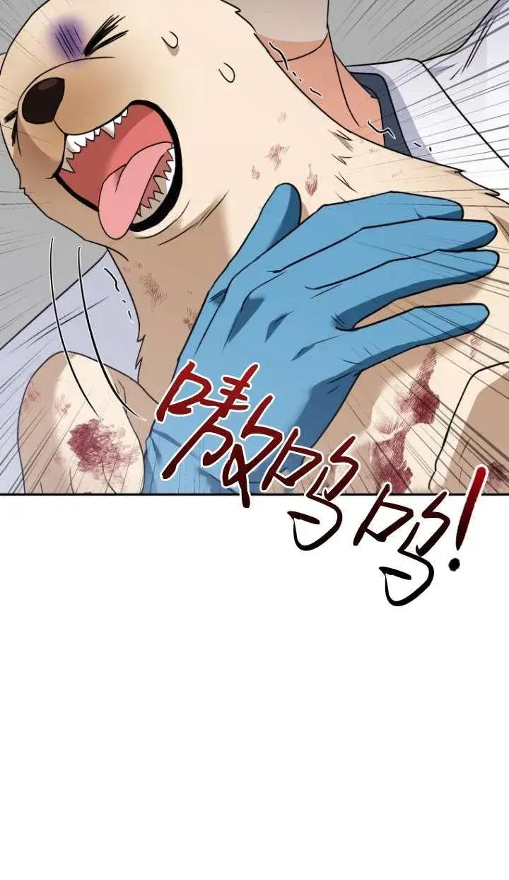 《兽医先生！你好？》第46话图59