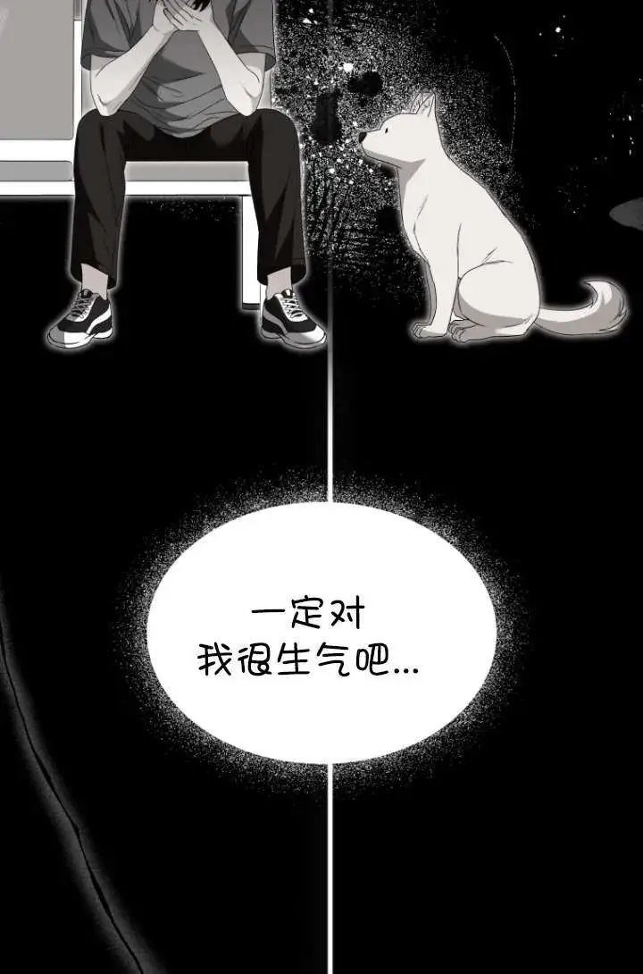 《兽医先生！你好？》第47话图22