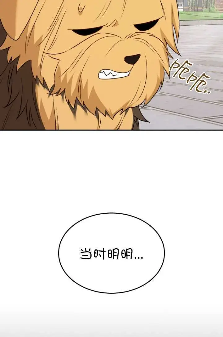 《兽医先生！你好？》第47话图69