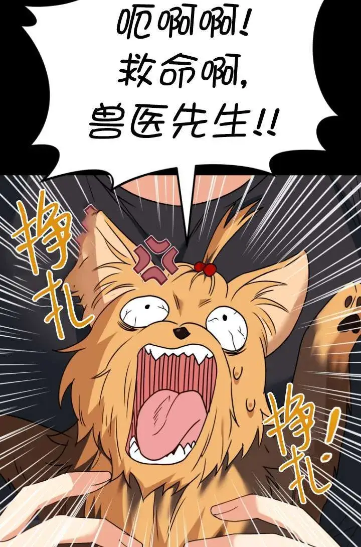 《兽医先生！你好？》第47话图71