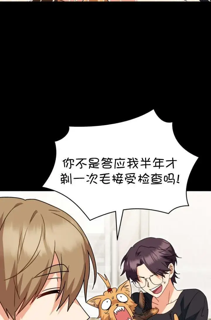 《兽医先生！你好？》第47话图72