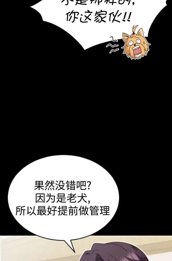 《兽医先生！你好？》第47话图75