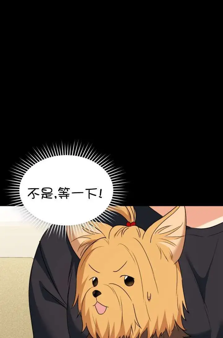 《兽医先生！你好？》第47话图78