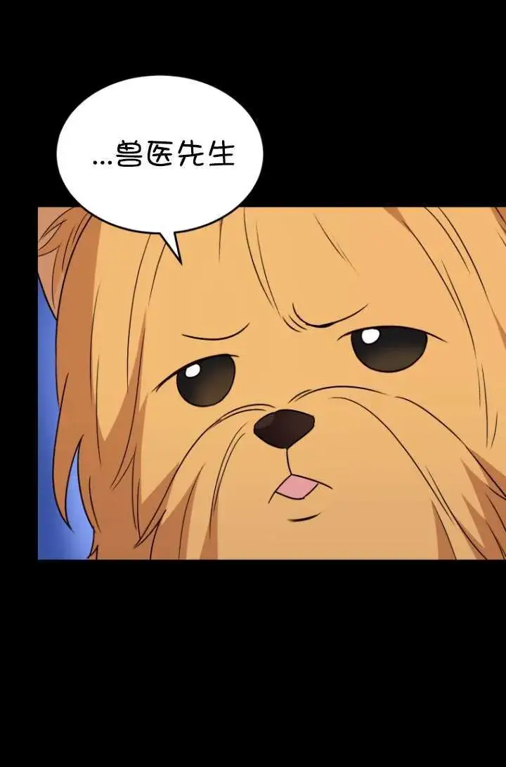 《兽医先生！你好？》第47话图84