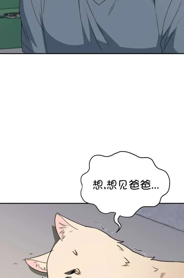 《兽医先生！你好？》第47话图9