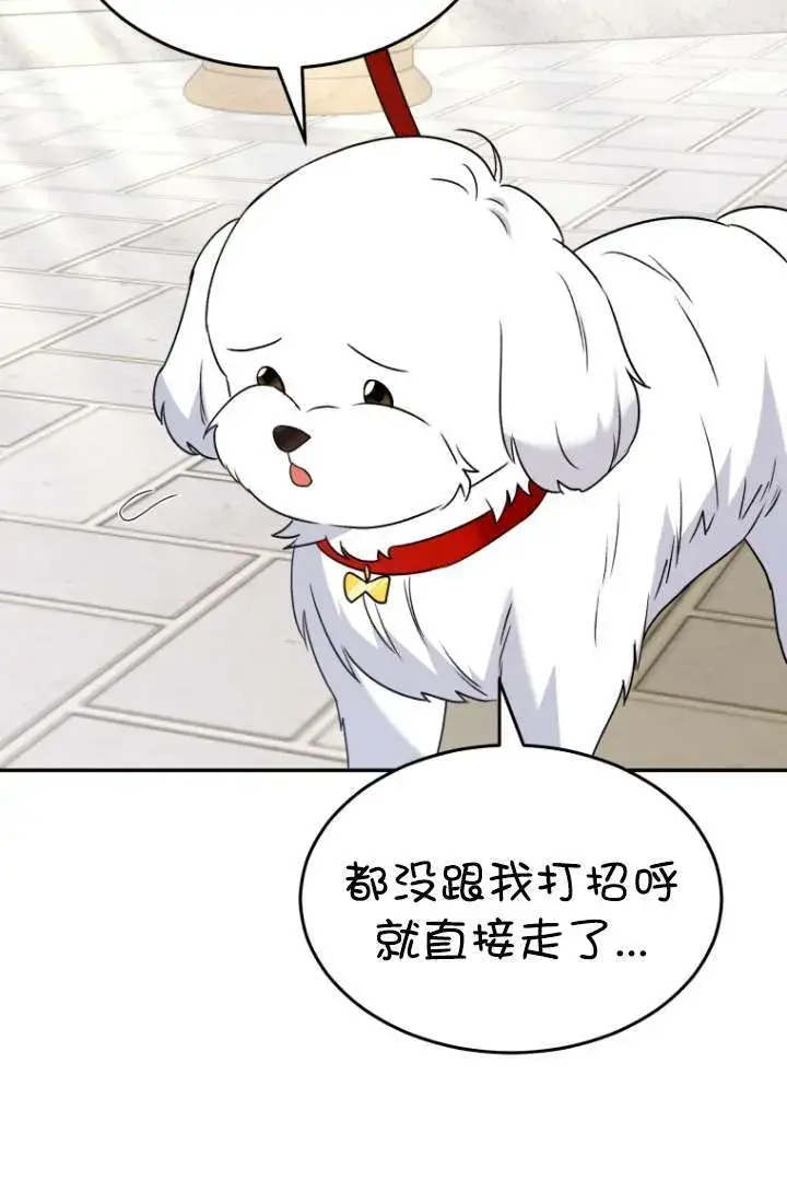 《兽医先生！你好？》第47话图95
