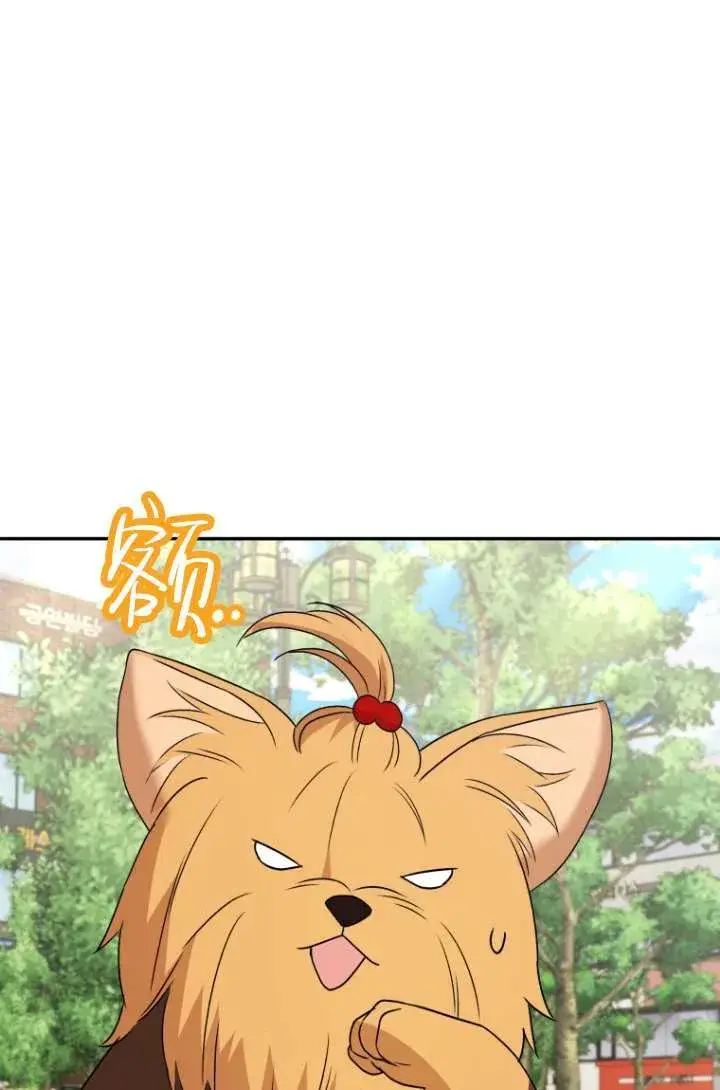 《兽医先生！你好？》第47话图97